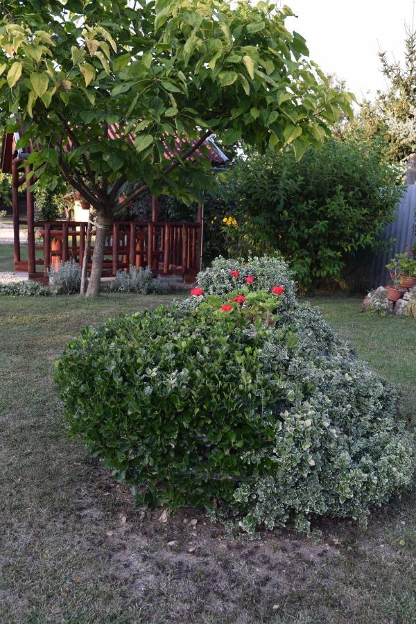 Prokop Vendeghaz Hotel Tolcsva Exterior foto